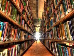 केंद्रीय मनश्चिकित्सा संस्थान रांची में चीफ एडमिनिस्ट्रेटिव ऑफिसर, लाइब्रेरी और इनफार्मेशन ऑफिसर एवं अन्य पदों भर्ती