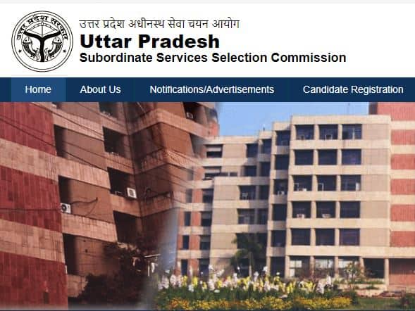 UPSSSC junior assistant admit card released, exam on January 4 here details UPSSSC जूनियर असिस्टेंट एग्जाम का एडमिट कार्ड जारी, करें डाउनलोड upsssc.gov.in