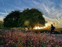 महाराष्ट्र के मुख्यमंत्री उद्धव ठाकरे ने खींची शानदार तस्वीर, सोशल मीडिया पर खूब हो रही वायरल