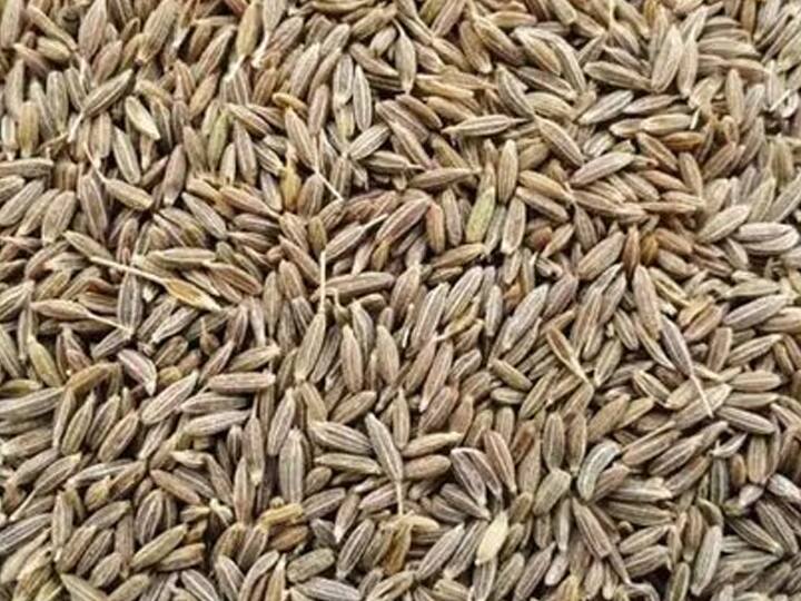 These three spices can reduce your weight जिम और डायटिंग से थक गए हैं तो जानें उन तीन मसालों के बारे में जो घटा सकते हैं आपका वजन