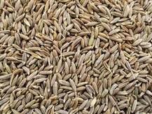 जिम और डायटिंग से थक गए हैं तो जानें उन तीन मसालों के बारे में जो घटा सकते हैं आपका वजन