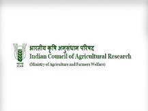 ICAR NET 2019 का एडमिट कार्ड हो गया है रिलीज, आधाकारिक वेबसाइट से करें डाउनलोड