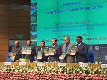 जंगलों से आई खुशखबरी, देश में बढ़ रहा वनों का दायरा