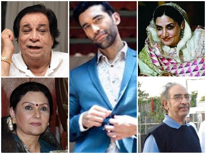 Year Ender 2019  these Bollywood celebrities said goodbye to the world kader khan to Kushal punjabi Year Ender 2019: शुरुआत में कादर खान तो अंत में कुशाल पंजाबी, इन सितारों ने 2019 में दुनिया को कहा अलविदा