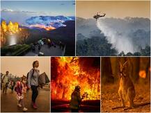 PHOTOS: ऑस्ट्रेलिया के जंगलों में अबतक की सबसे भीषण आग, 24 की मौत, 500 घर जलकर खाक