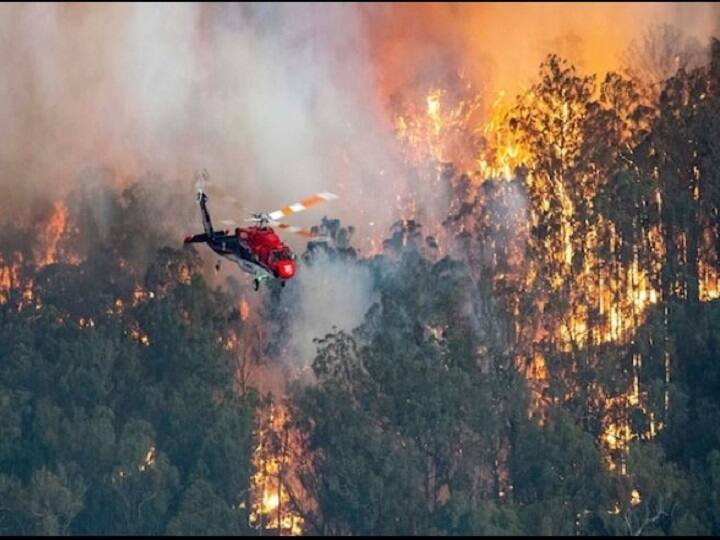 ऑस्ट्रेलिया: जंगलों में आग लगाने के मामले में 183 लोगों पर केस दर्ज, अबतक 25 की मौत hundreds of people arrested for deliberately setting fire in forests of australia ऑस्ट्रेलिया: जंगलों में आग लगाने के मामले में 183 लोगों पर केस दर्ज, अबतक 25 की मौत