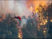 ऑस्ट्रेलिया: जंगलों में आग लगाने के मामले में 183 लोगों पर केस दर्ज, अबतक 25 की मौत