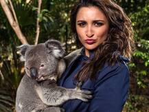 आस्ट्रेलिया के जंगलों में लगी आग से हुई जानवरों की मौत पर दुखीं हैं परिणीति चोपड़ा, इसे बताया जिम्मेदार