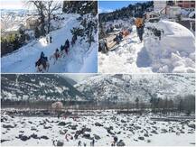 PHOTOS: पहाड़ों पर हुई बर्फबारी से फिर बढ़ी मैदानी इलाकों में ठंड, शिमला में -1 डिग्री तक पहुंचा तापमान