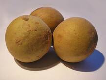 Health Benefits: चीकू के हैं अनेक स्वास्थ्य लाभ, रोजाना करें इसका सेवन