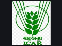 ICAR नई दिल्ली में निकली जेआरएफ और फील्ड सहायक की भर्ती, जानें पद, सैलरी से लेकर सबकुछ