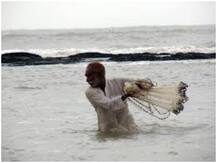 जाल में फंसी ऐसी दो मछलियां कि मछुआरे हो गए मालामाल, कीमत जानकर आप हैरान रह जाएंगे