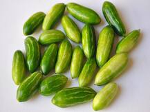 Health Tips: वजन घटाने के साथ-साथ परवल खाने के हैं लाभ, क्या जानते हैं आप ?