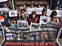 कश्मीरी पंडितो के विस्थापन के तीन दशक पूरे, राज भवन के बाहर किया प्रदर्शन