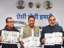 दिल्ली चुनाव: घोषणापत्र में कांग्रेस ने फ्री बिजली-पानी पर खेला दांव, सीएए और एनआरसी को दी चुनौती