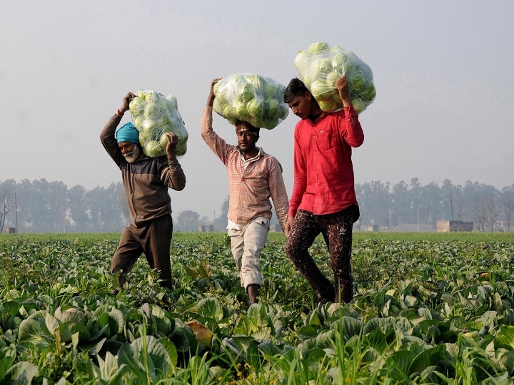 West bengal farmers are not receiving money under PM Kisan Samman Nidhi Yojana PM किसान सम्मान निधि: 8 करोड़ से ज्यादा किसानों को मिला पैसा, ममता सरकार ने केंद्र को नहीं भेजी लिस्ट