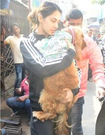 IN PICS: कुत्ते को गोद में उठाए दिशा पाटनी की ये CUTE तस्वीरें हो रही वायरल