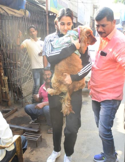IN PICS: कुत्ते को गोद में उठाए दिशा पाटनी की ये CUTE तस्वीरें हो रही वायरल