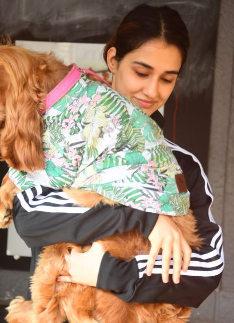 IN PICS: कुत्ते को गोद में उठाए दिशा पाटनी की ये CUTE तस्वीरें हो रही वायरल