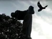 हर जान कीमती हैः संसद के सामने विजय चौक पर फंसा था पक्षी, ASI हरि सिंह मीना ने बचाई जान