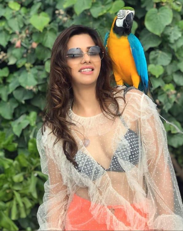 टेलीविजन एक्ट्रेस दलजीत कौर इन दिनों अपनी लेटेस्ट तस्वीरों के कारण लाइमलाइट में आ गई हैं. दलजीत की ये तस्वीरें सोशल प्लेटफॉर्म इंस्टाग्राम पर छाई हुई हैं. (Photo Credit: @kaurdalljiet Instagram)