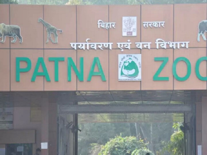 Bihar Bears and chital cubs rescued from Bagaha sent to Patna Zoo बिहारः बगहा जिले में मां से बिछड़े भालू और चीतल के शावकों को बचाया गया, भेजा गया पटना जू