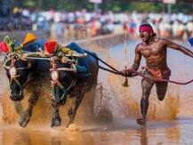 श्रीनिवास गौड़ा की उसैन बोल्ट से हो रही है तुलना, टैलेंट से प्रभावित खेल मंत्री ने ट्रायल के लिए दिल्ली बुलाया