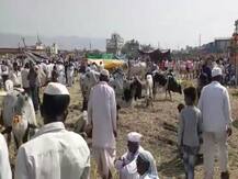 महाराष्ट्र: मेले में सैकड़ों लोगों के सामने नौजवान की हत्या से मची सनसनी, 7 लोग गिरफ्तार