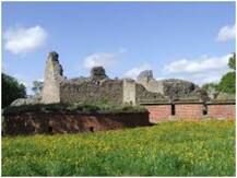 गज़ब: 47 साल पहले अमेरिका में गुम हुई थी अंगूठी, अब महिला को फिनलैंड के जंगल में मिली