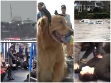 हवा में झूलते प्लेन से लेकर कोरोना वायरस के ड्रामे तक, यहां जानिए देश-दुनिया की कुछ Viral Videos के बारे में