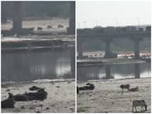 ट्रंप का भारत दौरा: यमुना नदी बन रही है ताजमहल का दाग, 500 क्यूसेक पानी छोड़ा गया