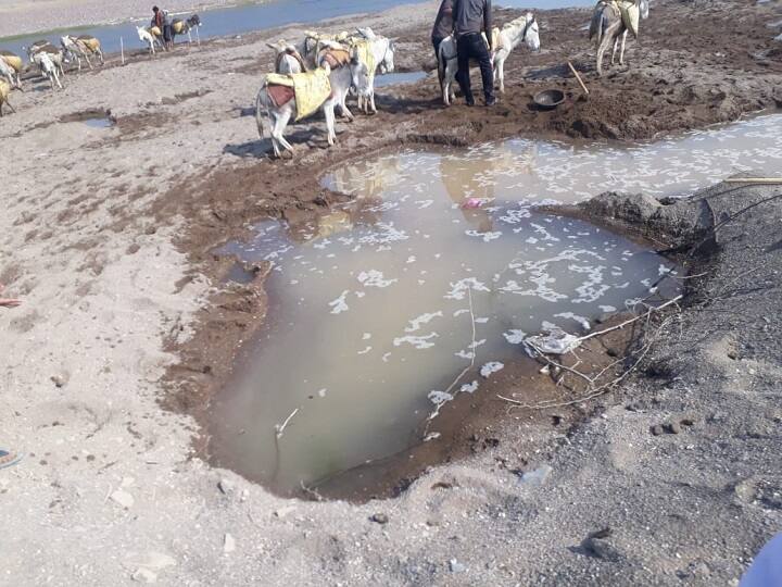 राजस्थान में रेत माफिया बेलगाम, गधों के जरिए हो रही है अवैध ढुलाई Sand mafia smuggling through donkeys in Rajasthan ANN राजस्थान में रेत माफिया बेलगाम, गधों के जरिए हो रही है अवैध ढुलाई