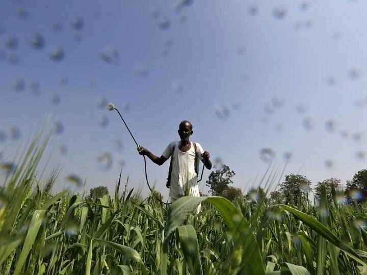 PMFBY: प्रधानमंत्री फसल बीमा योजना के आज 5 साल पूरे, जानें किसानों को इस स्कीम से कितना होता है फायदा Pradhan Mantri Fasal Bima Yojana completed 5 years know how farmers benefit PMFBY: प्रधानमंत्री फसल बीमा योजना के आज 5 साल पूरे, जानें किसानों को इस स्कीम से कितना होता है फायदा