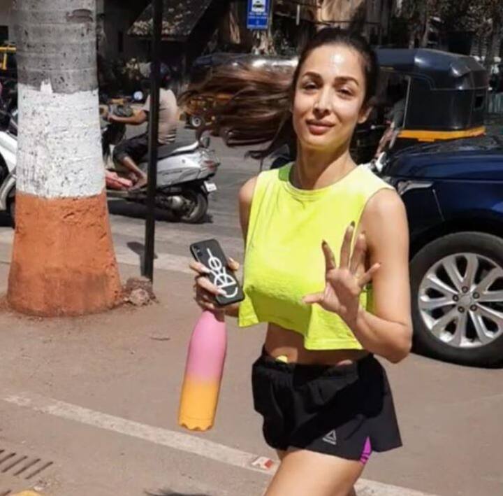 अपने बोल्ड अवतार के अलावा मलाइका पिछले दिनों अर्जुन कपूर संग अपनी नजदीकियों को लेकर भी सुर्खियों में रहीं. 