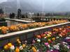 जम्मू-कश्मीर: एक बार फिर खुलने को तैयार है ट्यूलिप गार्डन, जानें क्या है इस बार खास
