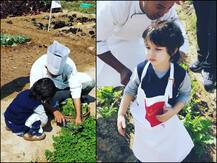 किसान बने तैमूर अली खान का वीडियो हुआ वायरल, देखकर आपको भी आ जाएगा प्यार