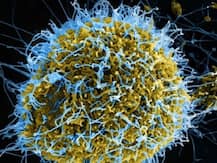 जम्मू: कोरोना वायरस से निपटने के लिए प्रशासन ने किश्तवाड़ में धारा 144 लागू