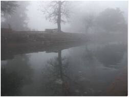 Weather Forecast: दिल्ली, NCR समेत उत्तरी भारत में कल तक बारिश, तेज हवा और बर्फबारी की आशंका