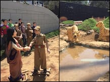 Holi 2020: होली की ये झांकियां देती हैं बुराई को दूर करने का संदेश