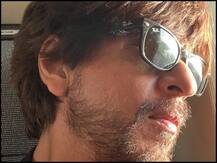 होली पर शाहरुख खान ने फैंस को किया विश, साथ ही दिया ये खास संदेश