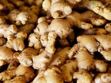 Health Tips: ये खाने की चीजें बदलते मौसम में सर्दी और फ्लू से करेंगी आपका बचाव