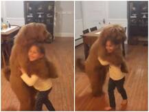 Coronavirus की चिंताओं के बीच ये वीडियो आपके चेहरे पर ला देगा हंसी, सोशल मीडिया पर हो रहा वायरल