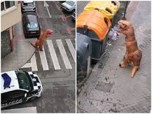 Coronavirus: लॉकडाउन के बीच स्पेन में डायनासोर की ड्रेस पहन घर से निकला शख्स तो पुलिस ने किया ये काम