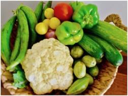 जानिए- कैसे स्मार्ट तरीके से खाएं, ताकि कोरोना से लड़ने के लिए इम्यून सिस्टिम मजबूत हो सके