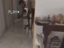 रोहित शर्मा बेटी को सिखा रहे हैं क्रिकेट, इंस्टाग्राम पर शेयर किया ये वीडियो