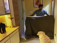 श्रेयस अय्यर ने अपने डॉगी के साथ किया प्रैंक, सोशल मीडिया पर शेयर किया वीडियो