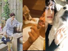 Coronavirus: अनुष्का से लेकर आलिया तक फैंस से सेलेब्स की अपील, जानवरों को न छोड़ें बेसहारा