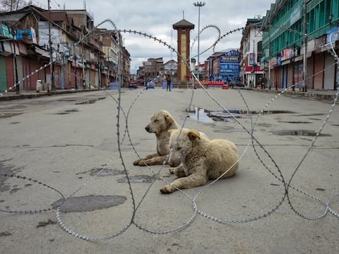 कोरोना वायरस: जम्मू-कश्मीर के श्रीनगर में विदेश से लौटे 152 लोग क्वारंटाइन किए गए