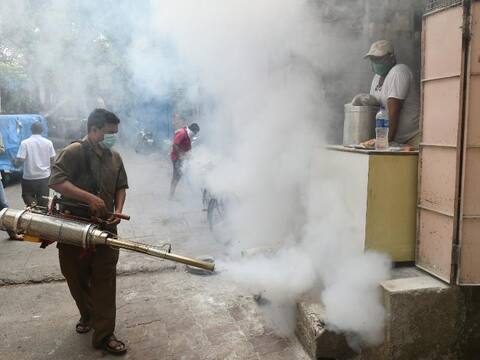 कोरोना वायरस क्या मक्खियों से भी फैलता है? स्वास्थ्य मंत्रालय ने दी ये जानकारी