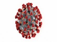 Coronavirus: शूटिंग के लिए गई फिल्म की यूनिट जॉर्डन में फंसी, कर रही है वापसी का इंतजार
